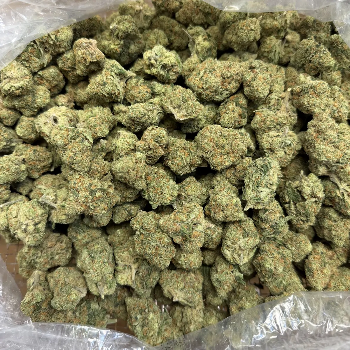 Blue Dream Flower